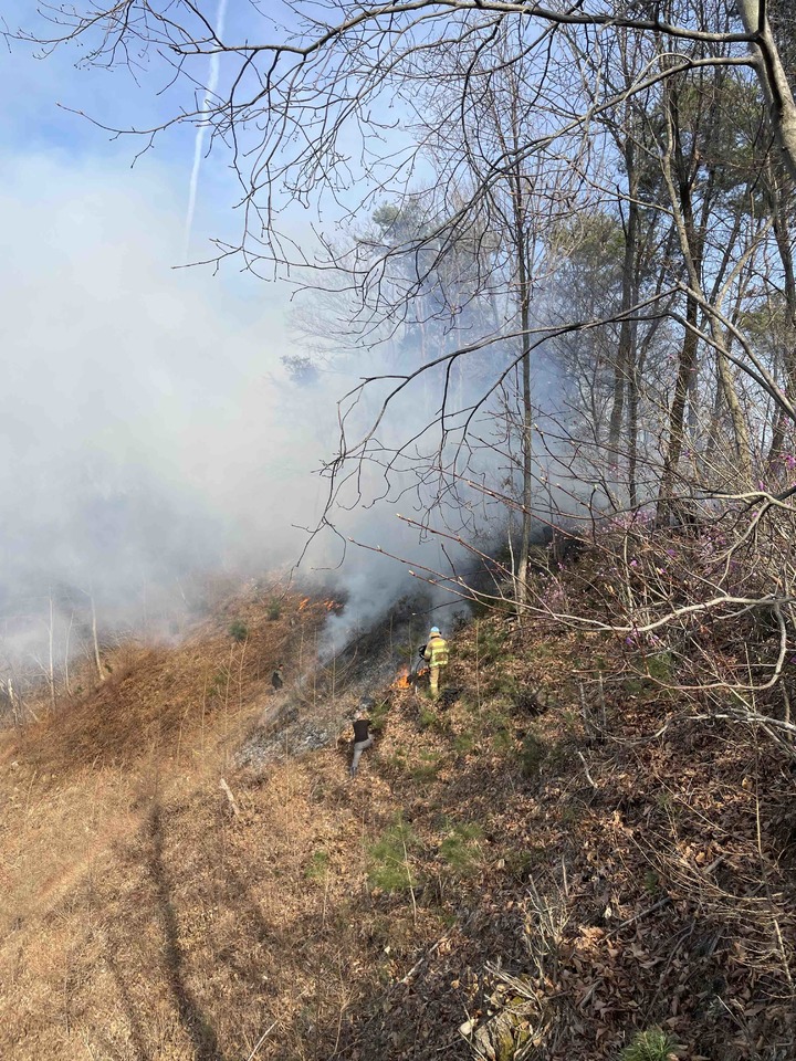 (제공=횡성소방서) *재판매 및 DB 금지