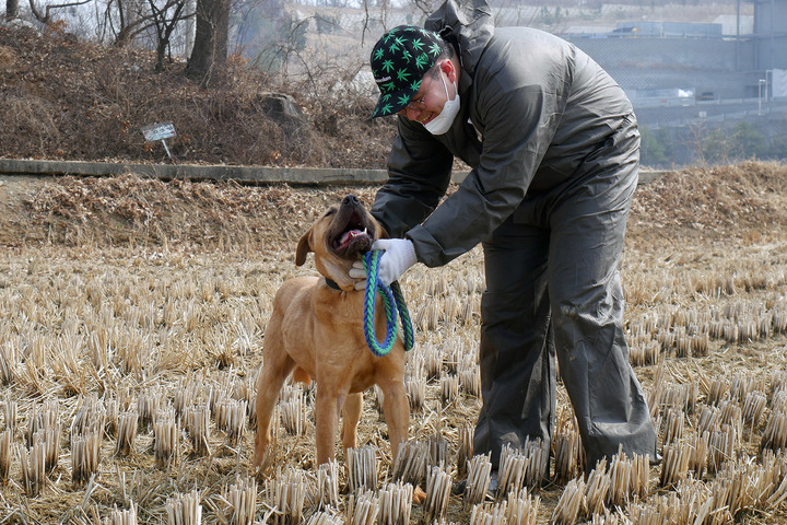 (사진=쿠팡 제공) *재판매 및 DB 금지