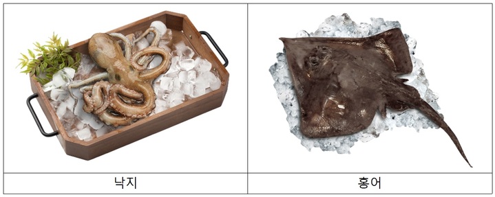 [4월 수산물]갯벌의 인삼 '낙지'와 봄철 별미 '홍어'