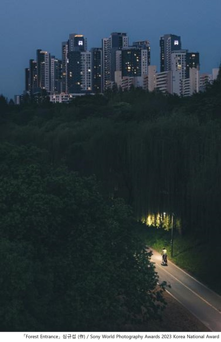 [서울=뉴시스] 2023 소니 월드 포토그래피 어워드 대한민국 내셔널 어워드 금상 수상작. (사진=소니) 2023.03.31. photo@newsis.com&nbsp; *재판매 및 DB 금지