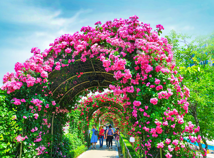 우이천 봄 산책길