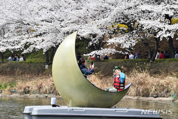 [서울=뉴시스]서울 송파구는 다음 달 5~9일 석촌호수에서 '호수벚꽃축제'를 개최한다고 31일 밝혔다. 석촌호수 벚꽃축제는 서울에서 유일하게 호수를 배경으로 벚꽃을 만끽할 수 있다. (사진=송파구 제공). 2023.03.31. photo@newsis.com 