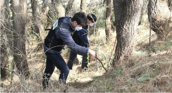 속초해양경찰서는 4월 1일부터 7월 31일까지 대마와 양귀비를 몰래 재배하는 행위 및 불법 사용행위에 대해 집중적으로 단속에 나선다.속초해경 제공 *재판매 및 DB 금지
