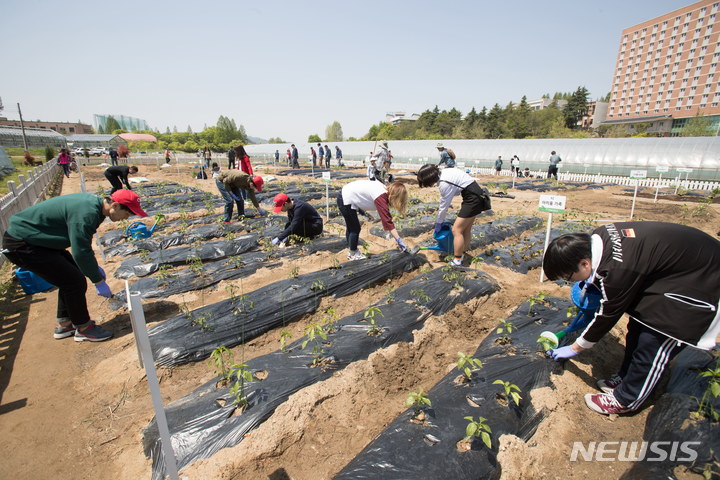 [전주=뉴시스]윤난슬 기자 = 전북대학교가 지역민과 사회적 배려 대상자 등에게 정감 있는 복지를 실현하고, 친환경 도시농업 체험 기회를 제공하기 위해 운영 중인 캠퍼스 텃밭을 올해도 분양한다.(사진=전북대 제공) 