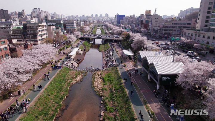 [서울=뉴시스]서울 은평구 불광천 마라톤 코스 전경. (사진=은평구 제공). 2023.03.31. photo@newsis.com