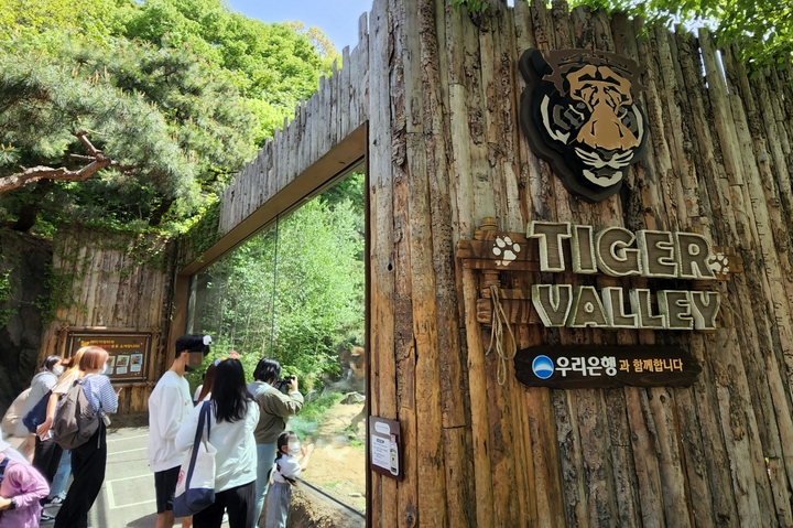 우리은행과 함께하는 에버랜드 내 한국 호랑이 서식지인 '타이거 밸리'의 전경.(사진=우리은행 제공) *재판매 및 DB 금지