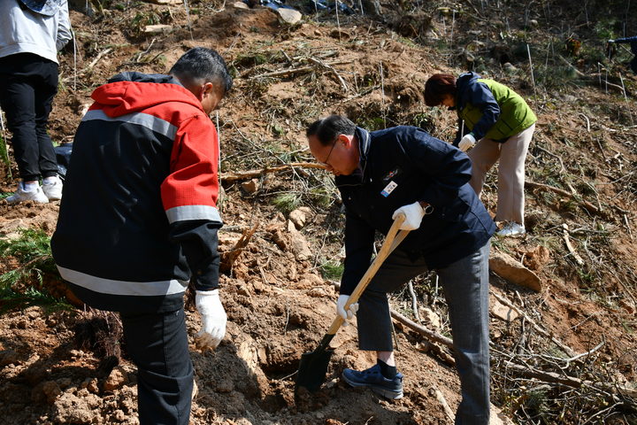 [거제=뉴시스] 신정철 기자= 거제시는 31일 기관·시민 단체 등 300여 명이 참석한 가운데 황포공설묘원 인근 임야에서 제78회 식목일 기념행사를 갖고 편백나무 묘목 2000주를 식재했다.(사진=거제시 제공).2023.03.31. photo@newsis.com *재판매 및 DB 금지