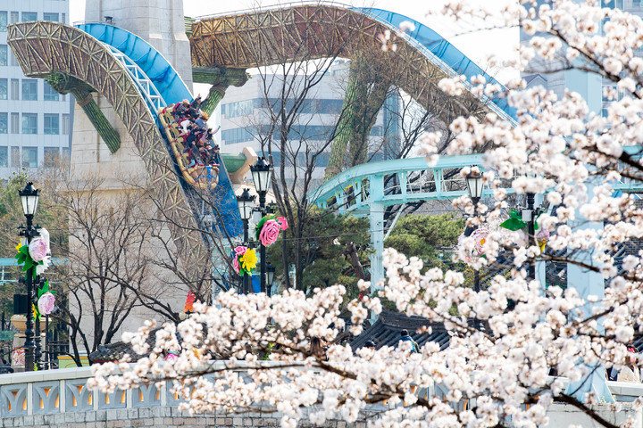 롯데월드 어드벤처 '매직 아일랜드' *재판매 및 DB 금지