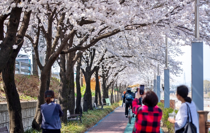전북 하늘 맑고 대기 매우 건조…낮 20~24도