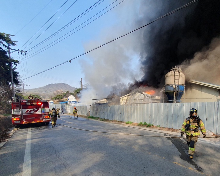[괴산=뉴시스] 조성현 기자 = 1일 오후 충북 괴산군 한 돼지 축사에서 불이 나 소방당국이 진화작업을 하고 있다. (사진=괴산소방서 제공) 2023.04.01. P photo@newsis.com *재판매 및 DB 금지