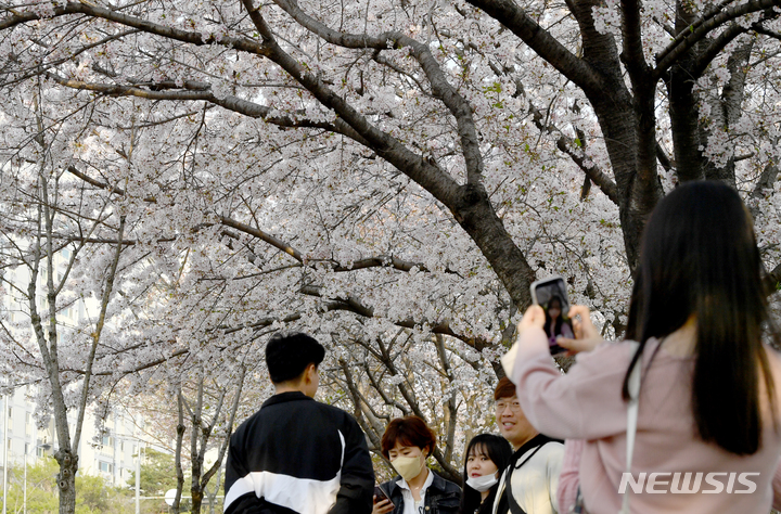 [광주=뉴시스] 김혜인 기자 = 1일 오후 광주 서구 동천동 광주천변 벚꽃길이 나들이하는 시민들로 북적이고 있다. 2023.04.01.hyein0342@newsis.com