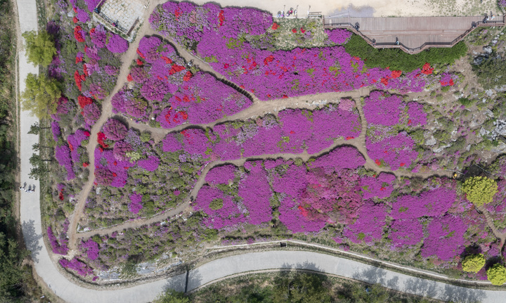 [부산=뉴시스] 부산 부산진구 백양산 나들숲길. (사진=부산진구 제공) *재판매 및 DB 금지