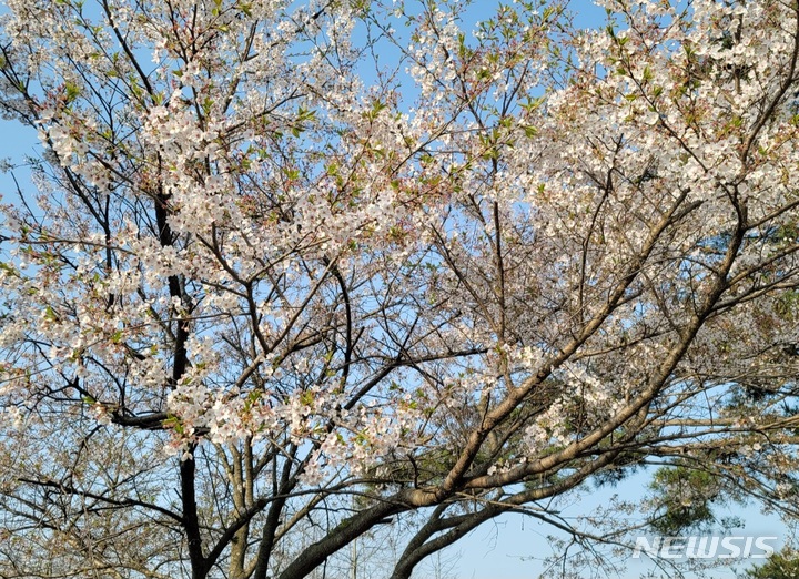 기사와 관련 없음