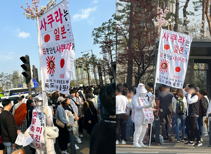 서울 석촌호수공원 인근에서 촬영된 벚꽃 축제 반대 1인 시위. (캡처=엠엘비파크) *재판매 및 DB 금지