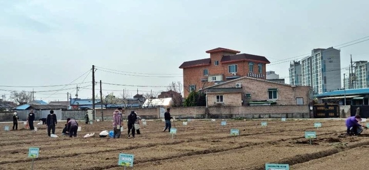 [완주=뉴시스] 강명수 기자 =전북 완주군은 마을·시민 텃밭을 개장해 도시민들의 자연공감 능력 향상을 도모하고 있다고 3일 밝혔다. (사진 =완주군 제공) 2023.04.03. photo@newsis.com *재판매 및 DB 금지