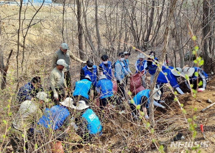 [제천=뉴시스] 이도근 기자= 충북 제천 국립공원공단 월악산국립공원사무소가 한국교통대 학생, 지역주민들과 함께 경북 문경시 동로면 명전리 국립공원 일원에서 생태복원 자원봉사프로그램을 진행하고 있다. (사진=월악산국립공원사무소 제공) 2023.4.3. photo@newsis.com *재판매 및 DB 금지