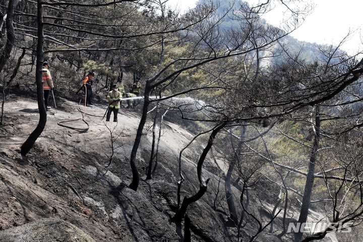충북 청주·진천·증평 이어 제천도 건조주의보…화재주의