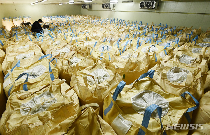 [용인=뉴시스] 김종택 기자 = 경기도 용인시 처인구 원삼면 용인시농협쌀조합공동사업법인 저온저장고에서 관계자가 가득 쌓여 있는 벼 포대를 살펴보고 있다. 2023.04.04. jtk@newsis.com