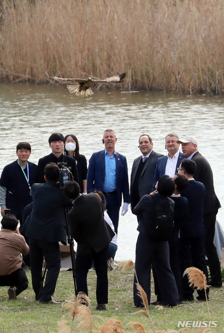 [부산=뉴시스] 하경민 기자 = 2030세계박람회 개최 후보지인 부산을 실사하기 위해 방한한 국제박람회기구(BIE) 실사단이 4일 오후 부산 사하구 을숙도생태공원을 방문, 야생조류치료센터 인근에서 치료를 마친 황조롱이를 자연으로 돌려보내고 있다. 2023.04.04. yulnetphoto@newsis.com
