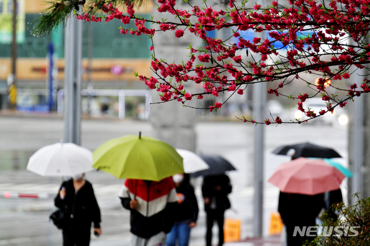 [광주=뉴시스] 이영주 기자 = 식목일인 5일 오전 광주 광산구 호남대학교 교정에서 학생들이 우산을 쓴 채 등교하고 있다. 2023.04.05. leeyj2578@newsis.com
