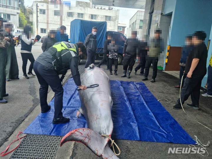 [남해=뉴시스] 사천해양경찰서 제공 *재판매 및 DB 금지