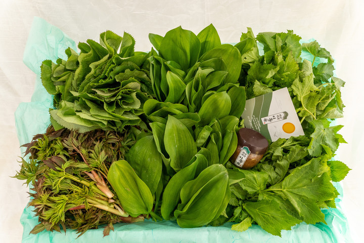 영월군 '영특한 산채꾸러미'. *재판매 및 DB 금지