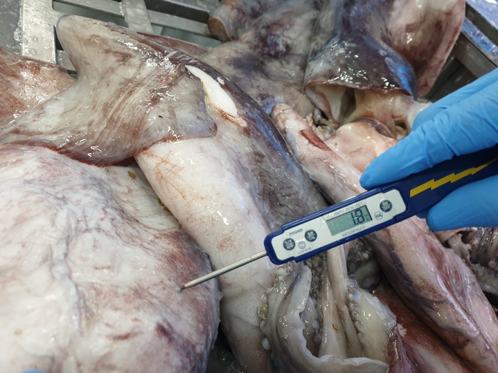 "수입식품 안전위해"…식약처 점검관, 세네갈까지 갔다