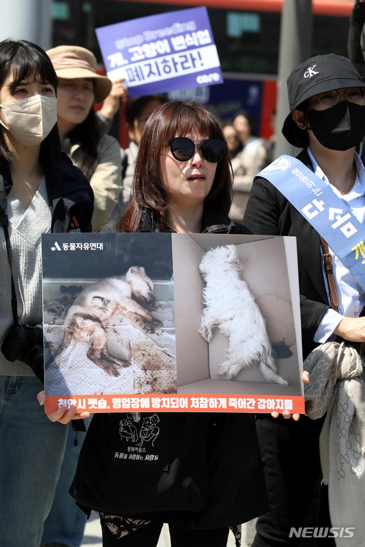 [서울=뉴시스] 조성봉 기자 = 8일 오후 서울 종로구 보신각 앞에서 열린 대량학살된 1500마리 개들을 위한 위령제에서 한 참가자가 죽은 강아지들 사진을 들고 울먹이고 있다. 이날 위령제에는 번식장·펫샵 폐지 시민행동에 연대하는 110개 동물권 단체들과 환경단체, 민변 동물권위원회, 동물의 권리를 옹호하는 변호사들, 동물권연구변호사단체PNR 등 법조인 단체, 정의당, 녹색당, 더밝은미래당 등 정당 소속 기관들도 참석했다. 2023.04.08. suncho21@newsis.com