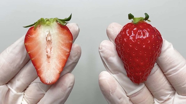 [서울=뉴시스]지난달 30일, 유튜버 '수상한 생선(본명 김준연)'이 강남의 한 카페에서 뉴시스와 인터뷰를 가졌다.(사진=수상한 생선 제공) 2023.04.10. photo@newsis.com *재판매 및 DB 금지