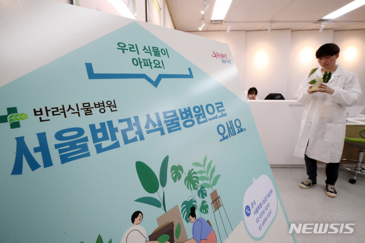 [서울=뉴시스] 조성우 기자 = 10일 오후 서울 서초구 농업기술센터에 개원한 반려식물병원에서 식물의사가 식물을 살펴보고 있다. 2023.04.10. xconfind@newsis.com