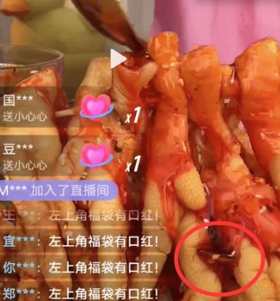 中 유튜버가 팔던 닭발에서 바퀴벌레가…해명 보니