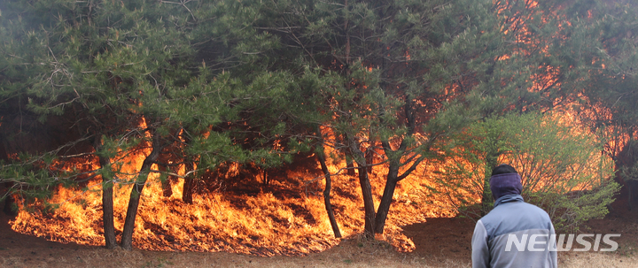 [강릉=뉴시스] 고승민 기자 = 11일 강원 강릉 난곡동 야산에서 발생한 산불 영향으로 경포해변 인근 골프장에 불이 옮겨 붙어 관계자들이 진화에 나서고 있다. 2023.04.11. kkssmm99@newsis.com