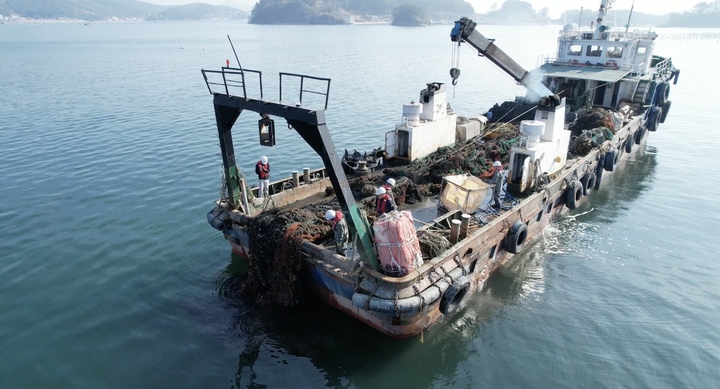 미더덕 주산지 창원 진동만 해역 500㏊ 정화 추진