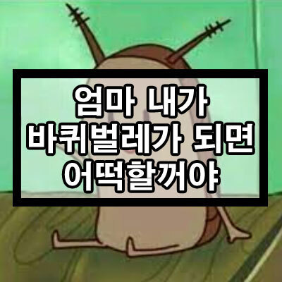 [서울=뉴시스] 최근 온라인 커뮤니티 사이트에서 부모님에게 "내가 바퀴벌레가 되면 어떻게 할 거야"라고 묻고 답을 듣는 놀이가 유행하고 있다. (사진=온라인 커뮤니티 밈과드립 캡처) 2023.04.12 photo@newsis.com *재판매 및 DB 금지