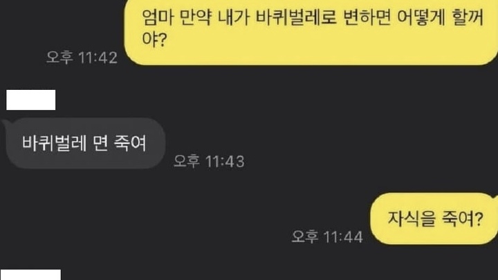 [서울=뉴시스] 다른 누리꾼의 엄마가 "바퀴벌레가 되면 어떻게 할 거야"라는 자식의 질문에 장난 섞인 말로 대답했다. (사진=온라인 커뮤니티 밈과드립 캡처) 2023.04.12 photo@newsis.com *재판매 및 DB 금지