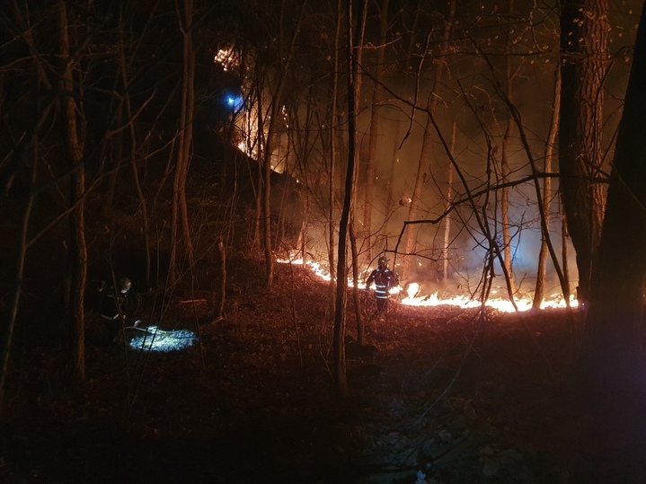 [양산=뉴시스] 안지율 기자 = 지난 12일 오전 5시31분께 경남 양산시 원동면 원리 산 36 일원에서 산불이 발생해 현재 산림당국이 진화하고 있다. (사진=산림청 제공) 2023.04.12. photo@newsis.com *재판매 및 DB 금지