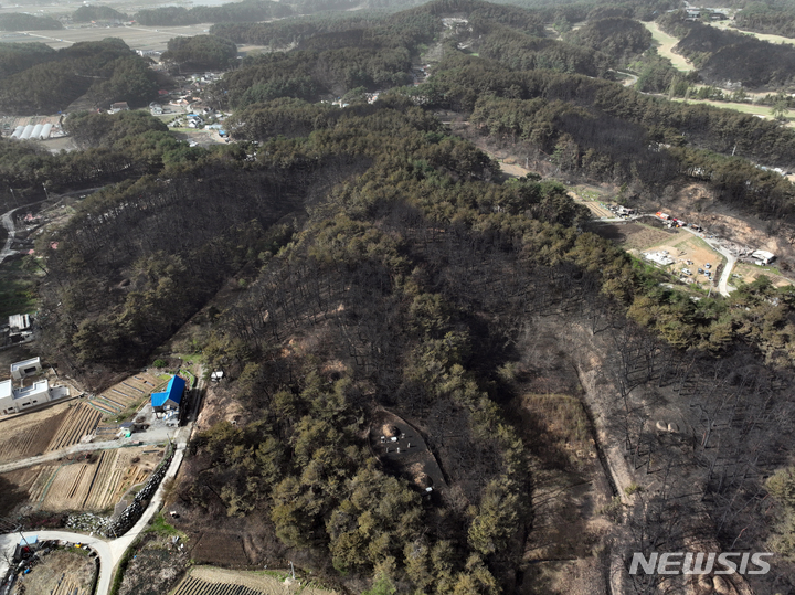 [강릉=뉴시스] 고승민 기자 = 강릉 산불 진화 이틀째인 12일 저동골길 인근 야산 나무들이 까맣게 타 있다. 2023.04.12. kkssmm99@newsis.com