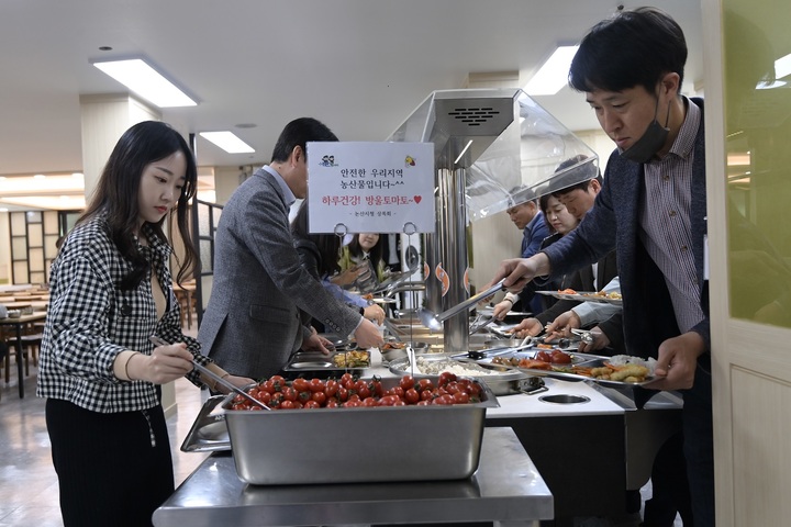 논산시청 직원들이 13일 구내식당에서 정식 메뉴로 올려진 방울토마토를 식판에 담고 있다. 2023. 04. 13 논산시  *재판매 및 DB 금지