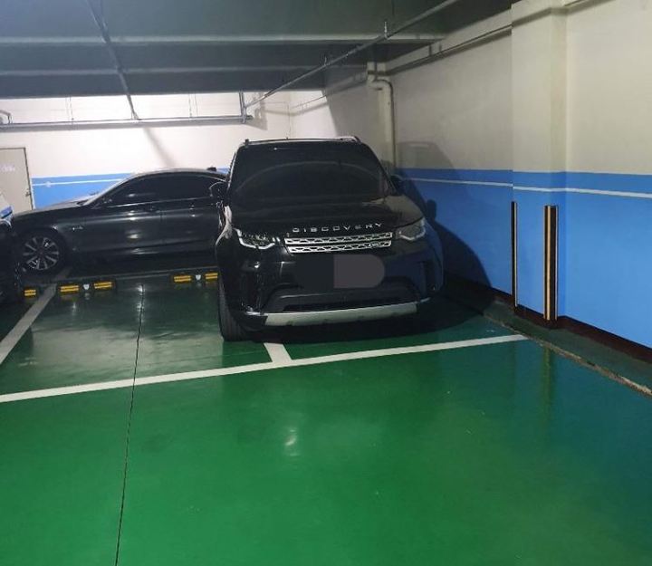 사진 온라인 커뮤니티 '보배드림' *재판매 및 DB 금지