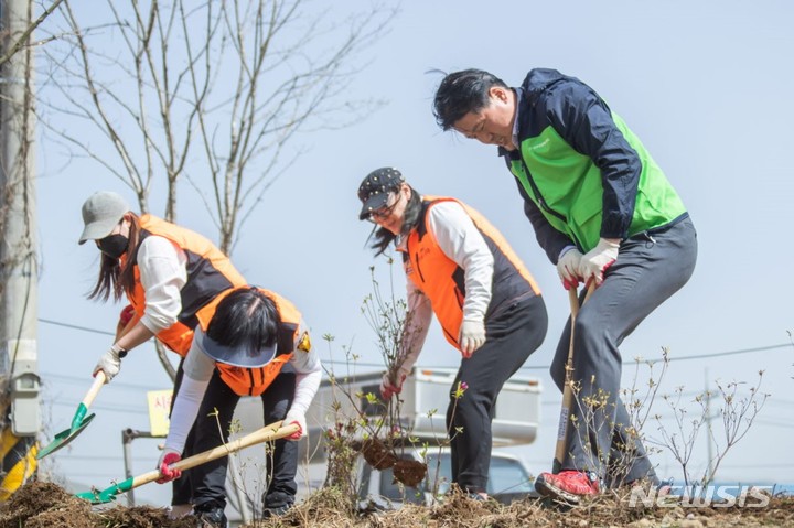 [인천=뉴시스] 강범석 인천 서구청장(맨 오른쪽)이 봉사자들과 함께 서구 청라동 공촌천에서 나무를 심고 있다. (사진=서구 제공)