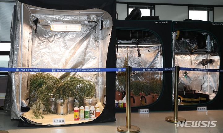 [서울=뉴시스] 조수정 기자 = 13일 서울 서초구 중앙지검에서 열린 대마 재배시설 검거 브리핑에 앞서 압수물품이 공개되고 있다 2023.04.13.chocrystal@newsis.com