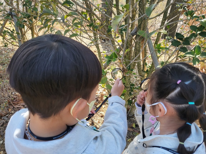 창녕군, "가정의 달 특별 유아숲체험 신청하세요"