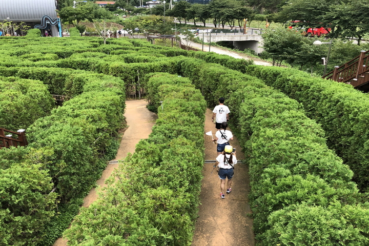 [해남=뉴시스] 두륜미로파크 *재판매 및 DB 금지