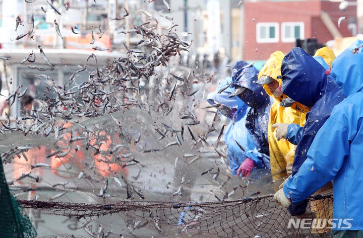 '안강망어업→고정자루망어업'…어려운 수산용어 순화