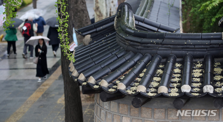 [서울=뉴시스] 김진아 기자 = 비 내리는 18일 오전 서울 중구 시청역 인근에서 시민들이 우산을 쓰고 이동하고 있다. 이날 전국 대부분 지역에 돌풍과 천둥·번개를 동반한 강한 비바람이 이어지다가 오후에 대부분 그치겠다. 2023.04.18. bluesoda@newsis.com