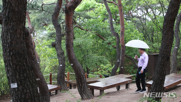 [서울=뉴시스] 권창회 기자 = 지난 4월18일 오전 서울 용산구 남산공원 내 소나무 힐링숲에서 시민들이 산책을 하고 있다. 2023.04.18. kch0523@newsis.com