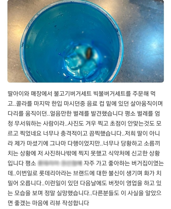 [서울=뉴시스]롯데리아의 한 매장에서 바퀴벌레가 나와 논란이 일고 있다. 사진은 A씨가 남긴 해당 점포의 리뷰 사진과 글. (사진= 롯데리아 리뷰 캡쳐) 2023.04.19.