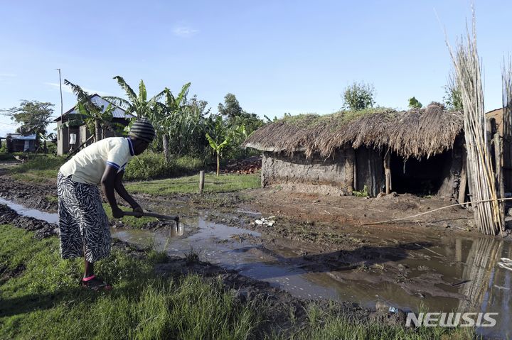 [루카야(우간다)=AP/뉴시스]우간다 습지에서 모래채취업자들이 건축용 모래를 마구 퍼가면서 좁아진 경작지에서 한 여성이 물을 빼내는 작업을 하고 있다. 정부의 습지 보호구역 명단이 발표되면서 이들 주민은 모두 이곳을 떠나야 한다.&nbsp; 2023.11.20.