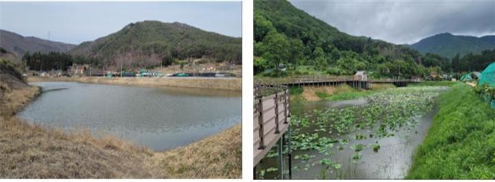 경남 양산시 본법마을 생태공원 조성사업 시행 전과 후.(사진=경남도 제공) *재판매 및 DB 금지