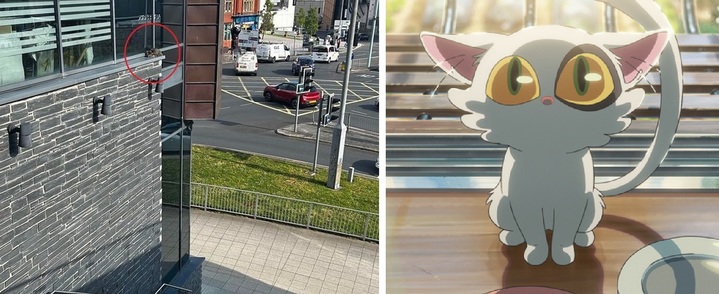 [서울=뉴시스] 영국의 한 고양이가 자신의 집에서 무려 520㎞ 떨어진 대학 건물에서 붙잡혔다. 사진은 대학 건물에 고립된 고양이의 모습(왼쪽)과 마찬가지로 규슈-도쿄 사이 1000㎞ 거리를 횡단한 '스즈메의 문단속' 등장 고양이 '다이진(오른쪽)' (사진=페이스북) 2023.04.27. *재판매 및 DB 금지